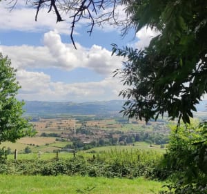 Balade à La Frette - La Frette - 2