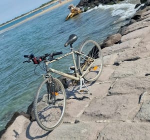 Balade de Vias à la Tamarissière par le canal du Midi - Vias - 4