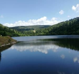 Lac de la Lande depuis La Vologne - La Bresse - 2