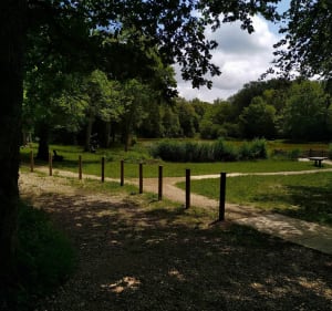 Étang de la fontaine rouge et sous bois - Mont-sous-Vaudrey - 2