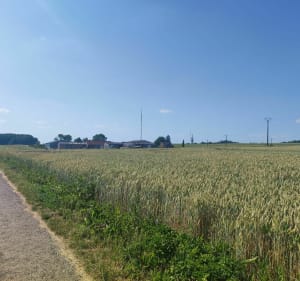 Soleil de plomb à Souchez - Raphaël - 3