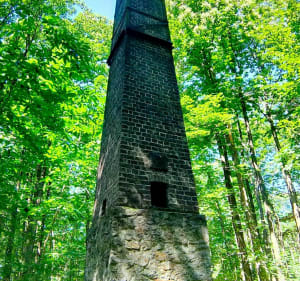 Boucle d'une heure dans la forêt de Saint Thibault et Mongé - Nicolas - 3