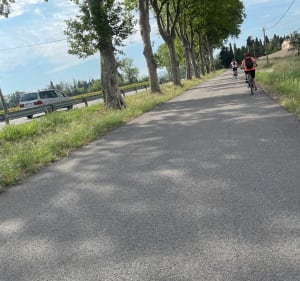 De Pollestres à Castelnou à vélo - Pollestres - 2