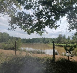 Un beau tour dans les bois de Sologne - Virginie oooh ! - 4
