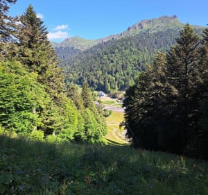 De la Tour Sumène au Puy Griou - Laveissière - 2