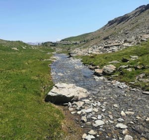 Tête de Vautisse au départ des chalets de l'Alp - Réotier - 2