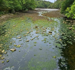 Merrien d'une Ria à l'autre - Moëlan-sur-Mer - 2