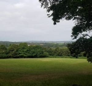 Jolie balade dans le bois des roches de Rocheville depuis Hameau Hibert - Rocheville - 4