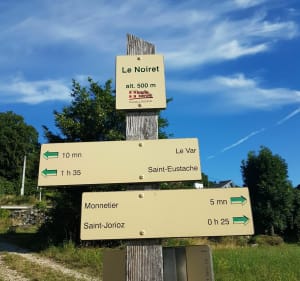 Boucle du Laudon et balade sur sentiers balisés à Saint-Jorioz - Saint-Jorioz - 5