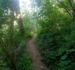 Entre voie verte et GR 59 et Fontaine, départ de Perrigny - Maryline - 4