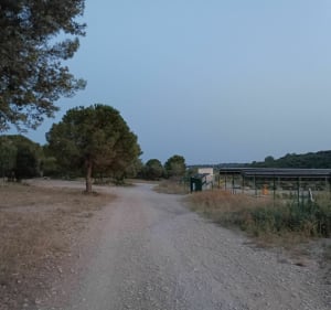 Balade en garrigue nimoise - David - 3