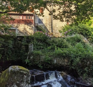 Balade ombragée le long de la rivière Alzeau - Arfons - 2