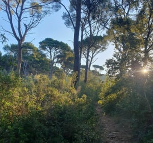 Magnifique panorama à La Sabatière à Carqueiranne - Sylvie - 4