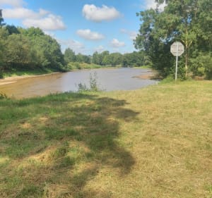 Entre La Loire et Le Louet en passant par Chalonnes - Gaetan - 3