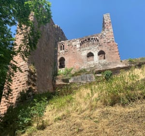 Le château de Wasenbourg depuis Niederbronn - Niederbronn-les-Bains - 2