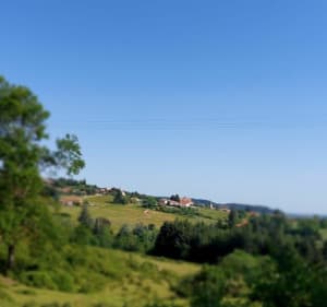 Saint-Germain-Lespinasse / La Verrerie / Mably - Anne - 3