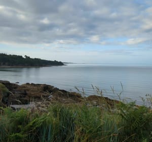 De l'Anse de Saint-Laurent à l'Anse de Penfoulic - La Forêt-Fouesnant - 2