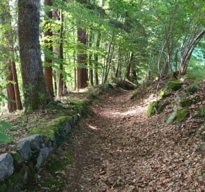 La ch'tite rando de Grego au Hohrodberg à Soultzeren - Soultzeren - 2