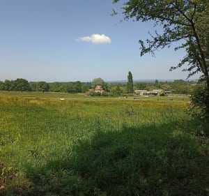 Sur les chemins de Mirbel - Mézidon-Canon - 2