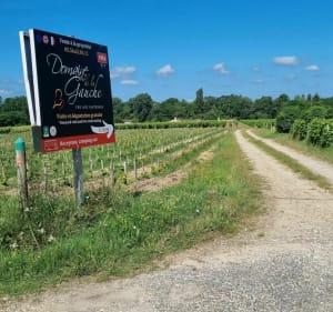 Entre Bommes domaine de la Gauche Rayne Vigneau  et le Château d'Arche - Sauternes - 2