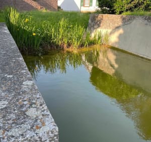 Balade dans les champs autour Ittenheim - Ittenheim - 2