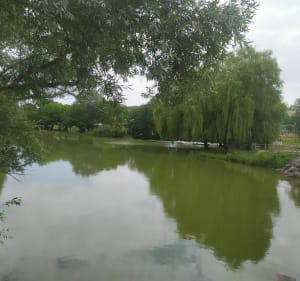 Plan d'eau de Berny - Ailly-sur-Noye - 2