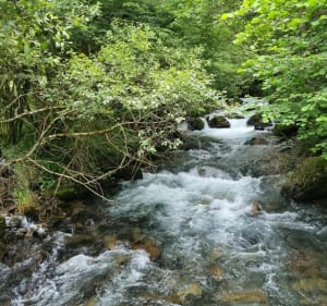 Entre torrent et cascade à Beaudean - Beaudean - 2