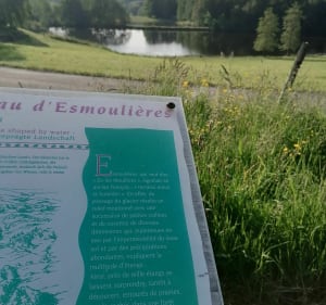Randonnée autour d'Esmoulières - Esmoulières - 2
