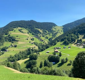 Cuvy avec vue sur le Beaufortain et le Mont Blanc - Ulysse - 2
