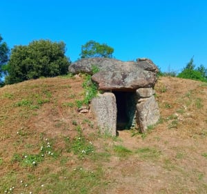 Retour vers le passé à Avrillé - Avrillé - 2