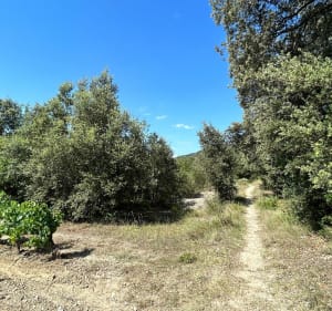 Le prieuré de Saint-Pierre à partir d’Aspères - Aspères - 2