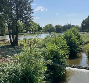Découverte des loisirs au nord du Mansen VTT - La Chapelle-Saint-Aubin - 2