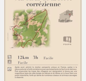 Randonnée au milieu des bois et de la forêt de Palisse - Palisse - 2