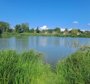 Balade fraîcheur au départ de Morestel - Morestel - 4