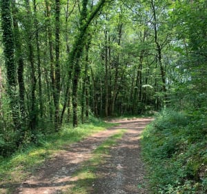 Balade entre routes, voie verte et chemins en Périgord vert - Nathalie - 3