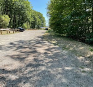 Circuit dans la forêt de Méridon - Chevreuse - 3