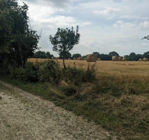 Bol d'air en campagne au sud de Rennes - Bourgbarré - 2