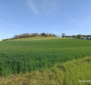 L'écluse de Gardouch et Laval. - Patricia - 3