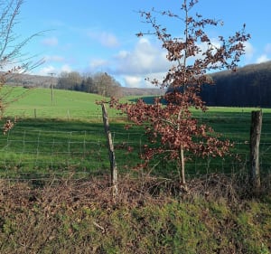 Tour de Fougerolles - Aillevillers-et-Lyaumont - 2