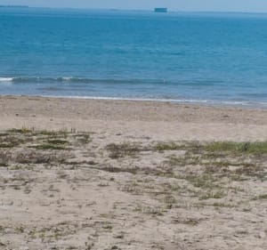 Fort boyard depuis l'aérodrome à vélo - Saint-Georges-d'Oléron - 2