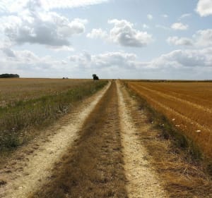 Balade VTT au Nord ouest de Migné-Auxance - Migné-Auxances - 2