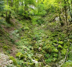 Gorges du pont du diable - La Vernaz - 5