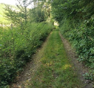 Petite sortie vtc en campagne autour du Passage. - Le Passage - 2