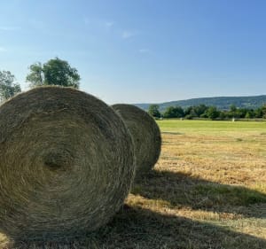 Méréville — Lupcourt — Burthecourt-aux-Chênes et retour - Méréville - 2