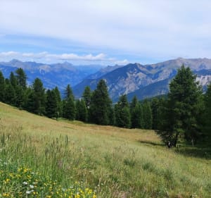 Chemin de l écureuil - Risoul - 2