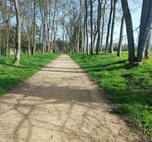 Parcours de santé en forêt à Auneau - Auneau-Bleury-Saint-Symphorien - 2