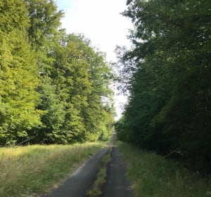 Balade à VTT, dans la forêt de Trois-Fontaines et le Bois Brûlé - Charles - 3