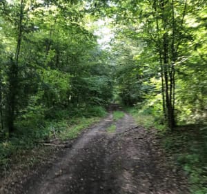 Balade à VTT, dans la forêt de Trois-Fontaines et le Bois Brûlé - Charles - 2