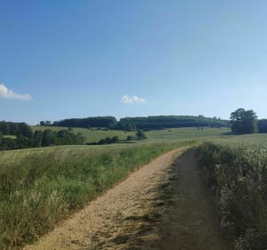 Balade autour d'Amblimont avec de superbes vues - Mouzon - 2