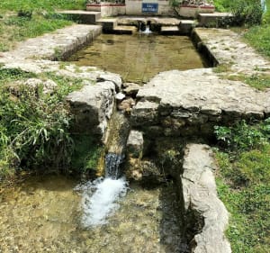 Vives eaux de Vivonne - Nathalie - 5